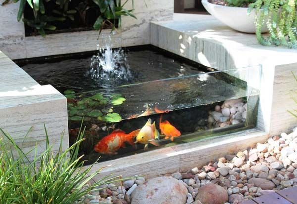 21+ Small Garden Backyard Aquariums Ideas That Will Beautify Your Green World