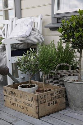 greenery on the porch… love the use of the rustic mixed containers. (and that I have just the basket to achieve this look! )