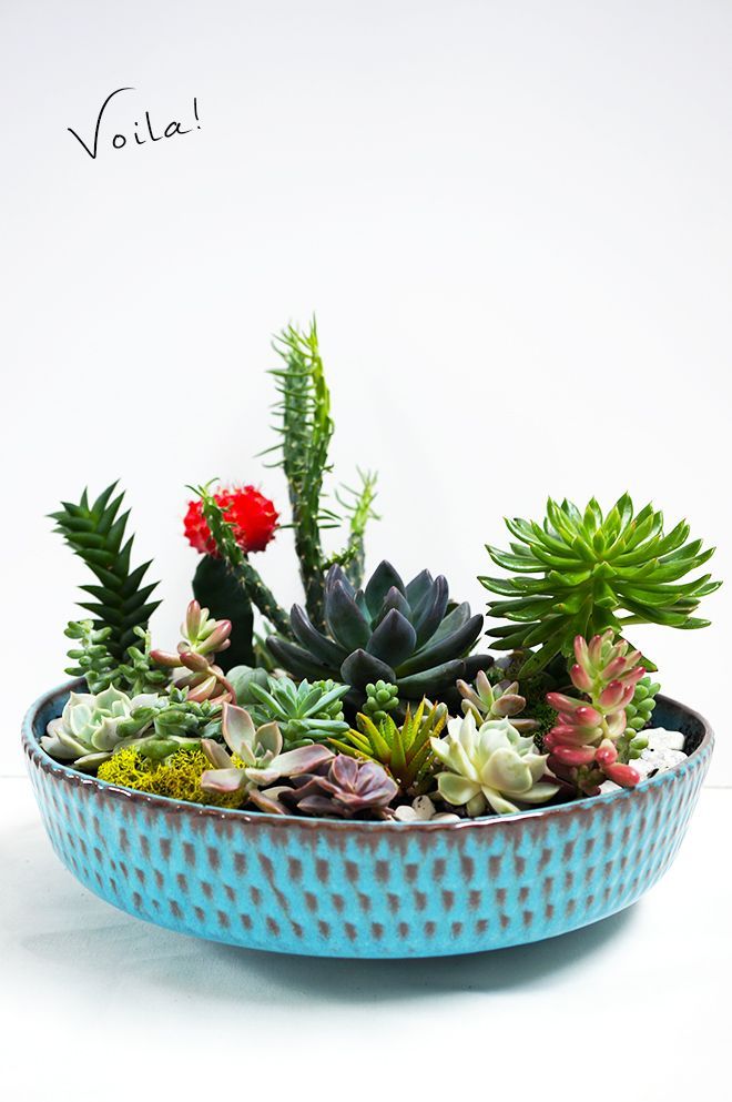 This DIY succulent garden is simple to recreate and will last through the season. #BHGSummer