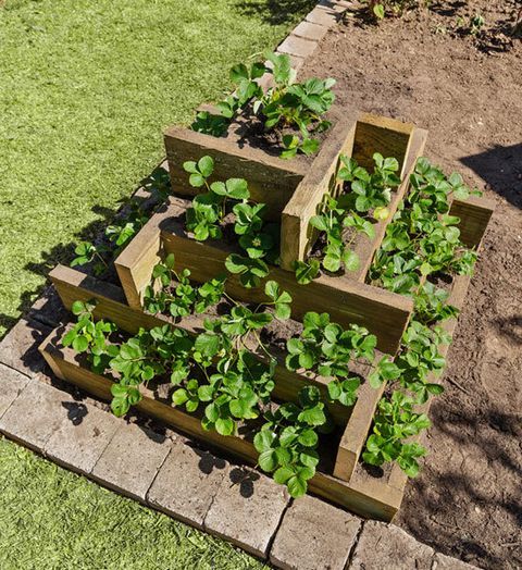 How to make a tiered box planter —   Make this easy and interesting box planter to save space in your garden.