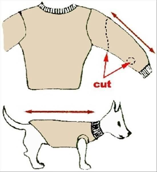 Make a dog jacket / coat / sweater out of an old sweater