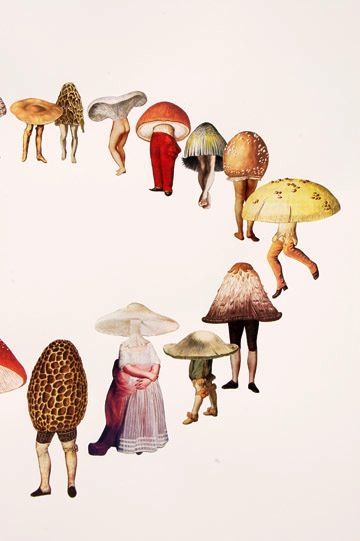 Mushrooms – Amy Ross collage