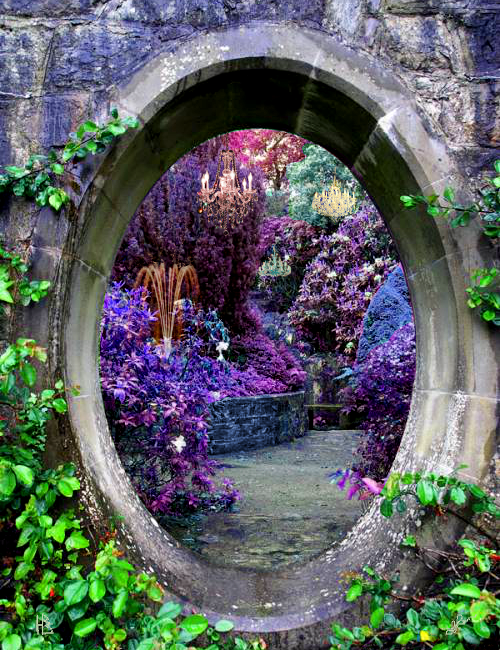 splendiferoushoney: fairy portal – Beautiful colorful fantasy gardens takes you to another world