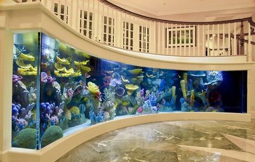 wow that’s a wall a guy would love, they all want salt water fish tanks in their homes