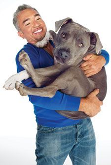 5 Things You’re Doing that Drive Your Dog Crazy | Dog Whisperer Cesar Millan