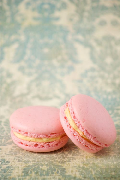 At last! A fail-safe macaron recipe, now I might consider making them.