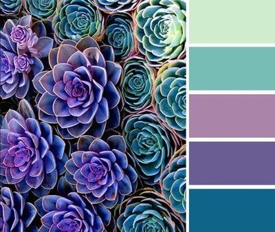 Color / Succulents color palette (green, purple, turquoise) – Polyvore