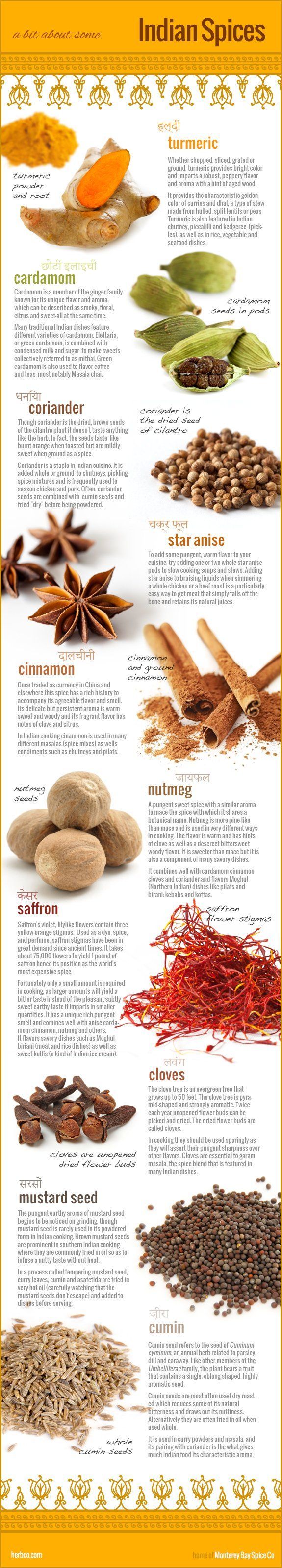Indian Spices Infographic