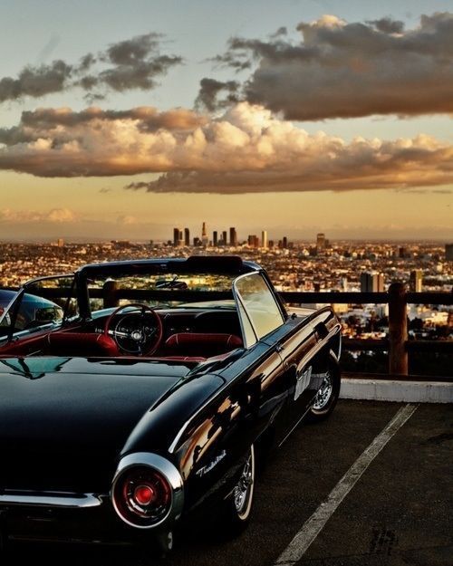 Los Angeles Skyline – Thunderbird