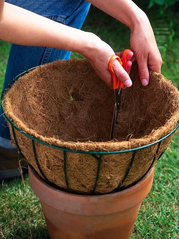 Plant a Hanging Basket for Summer