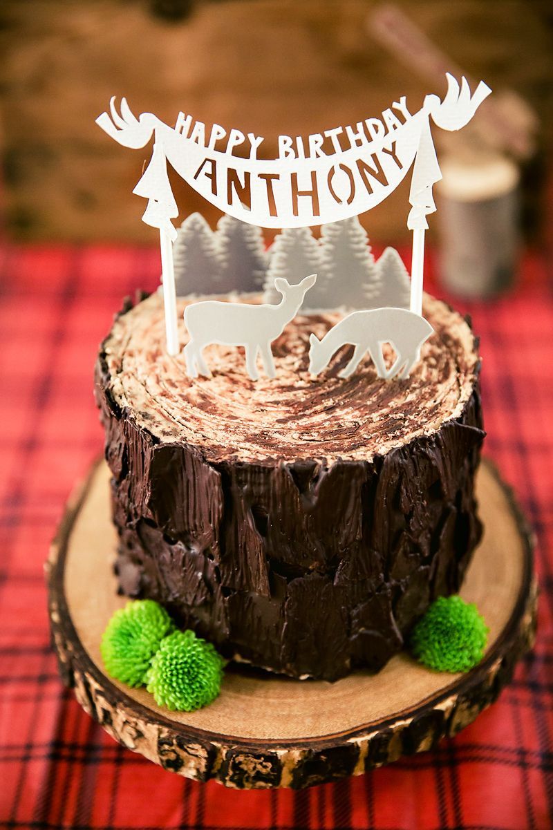 Rustic & Burly Lumberjack Bash Party Cake {Triplet First Birthday Party}