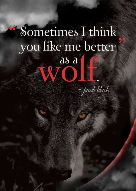 “Sometimes I think you like me better as a wolf.” ~  Jacob Black