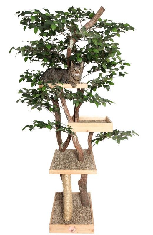 Sycamore Cat Pet Tree House — 4 story hand crafted Tree.  Made with real dragonwood tree and silk synthetic leaves.  Includes: