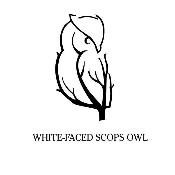 7993e6f38423bb973f936fb2e68caf45 35 Owl Logo designs For Your Inspiration