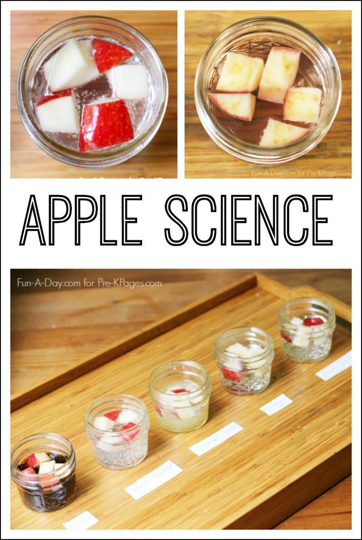 Apple Science Experiment for Preschool and Kindergarten. A Super Simple and Easy Science Experiment for your kids to explore. Make