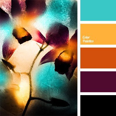 Contrasting Color Palettes | Page 5 of 49 | Color Palette Ideas