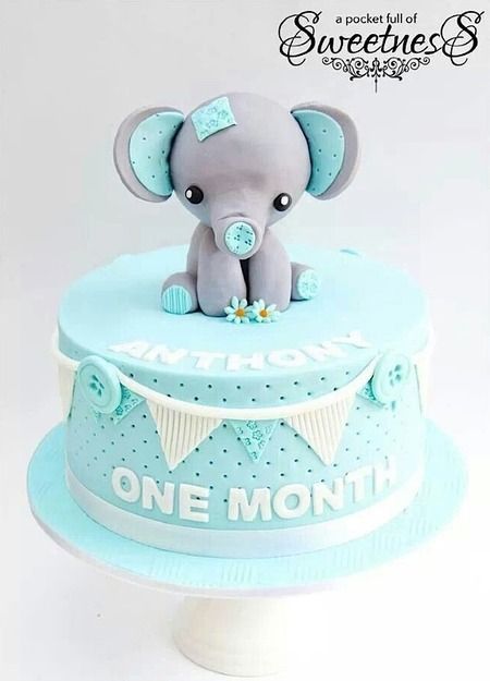 Elephant baby Cake