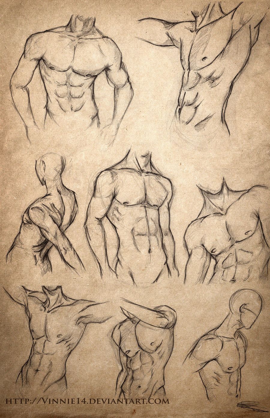 sketches | Male Body Sketches by Vinnie14 on deviantART
