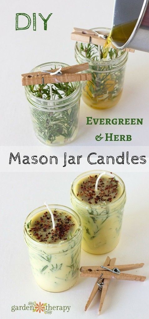 DIY Evergreen and Herb Scented Mason Jar Candles