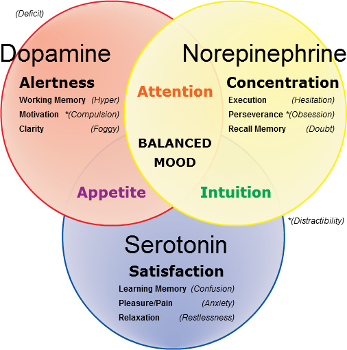 Dopamine, Norepinephrine and Serotonin.- Just 3 of the brain's natural chemicals that are involved with AD