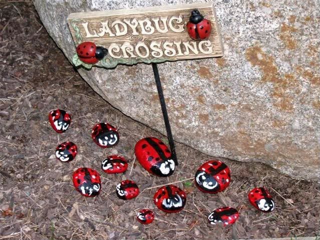 ladybug crossing- cute