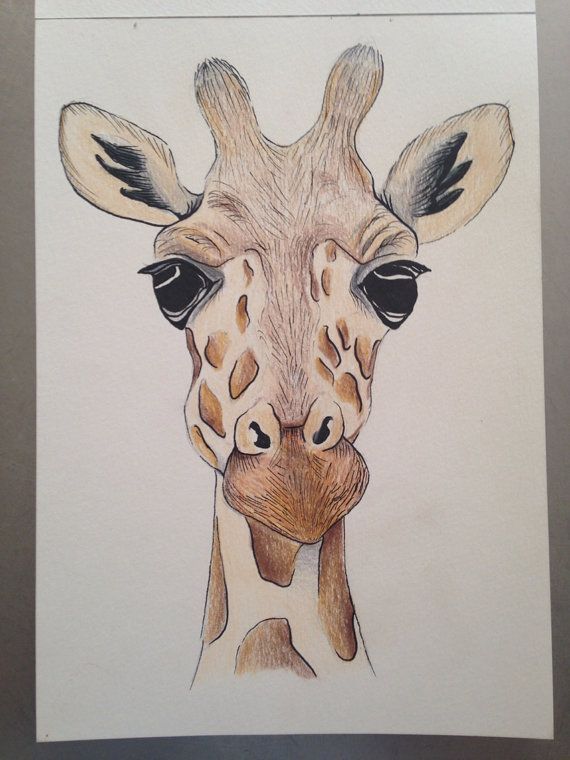A5 giraffe face drawing using pencil and ink. by zeldaartlettering, $20.00