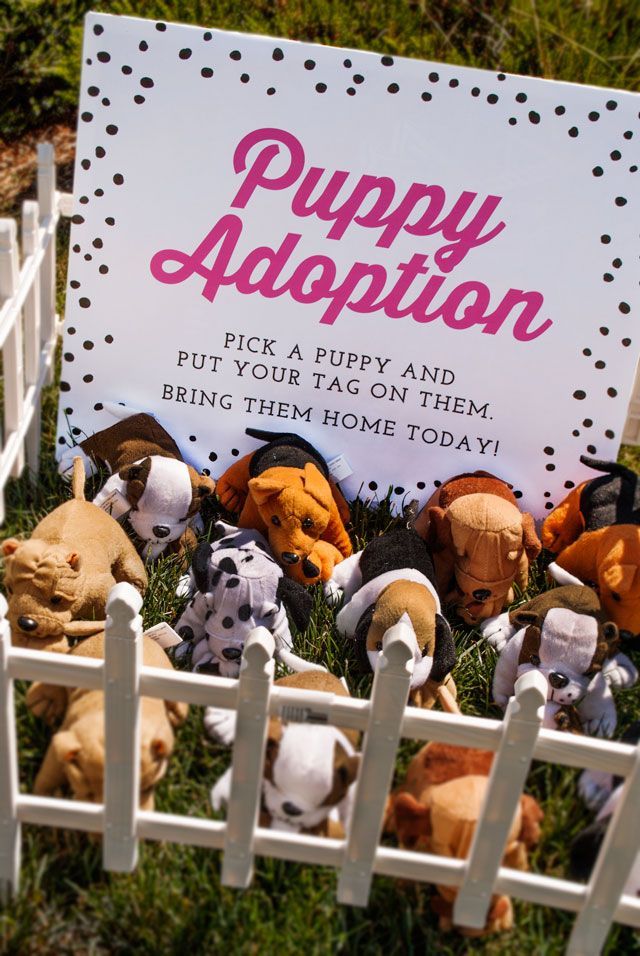 From Oriental Trading – says it’s for a b-day party, but I think the girls would love to adopt a puppy at