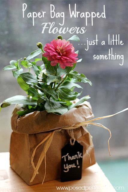 Need a small gift for someone? Try wrapping a simple garden flower in a brown bag tied off with raffia. Fr