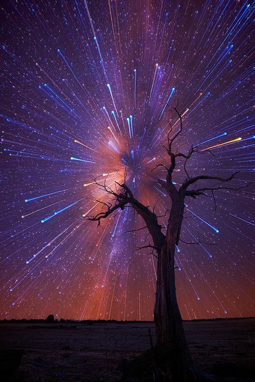 Amazing Startrails Bursting in the Night Sky, by Lincoln Harrison