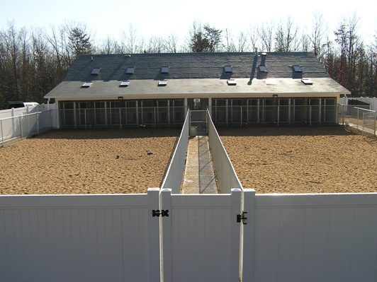 best dog boarding kennel building | Picture of the back of the kennel and airing yards.