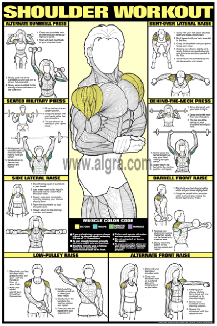 Bruce Algras Shoulder Workout Poster presents the most effective weight training exercises to develop the