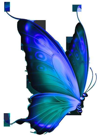 Butterfly tattoos combine well with tribal elements, especially on the lower back because of the symmetric