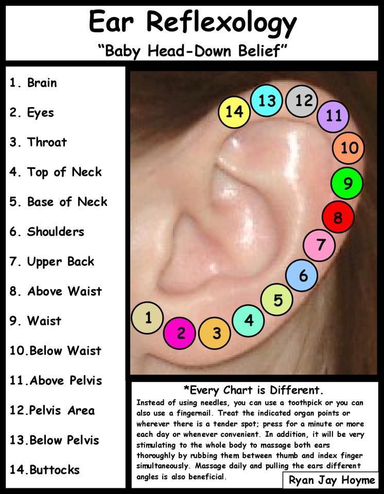 Ear Reflexology