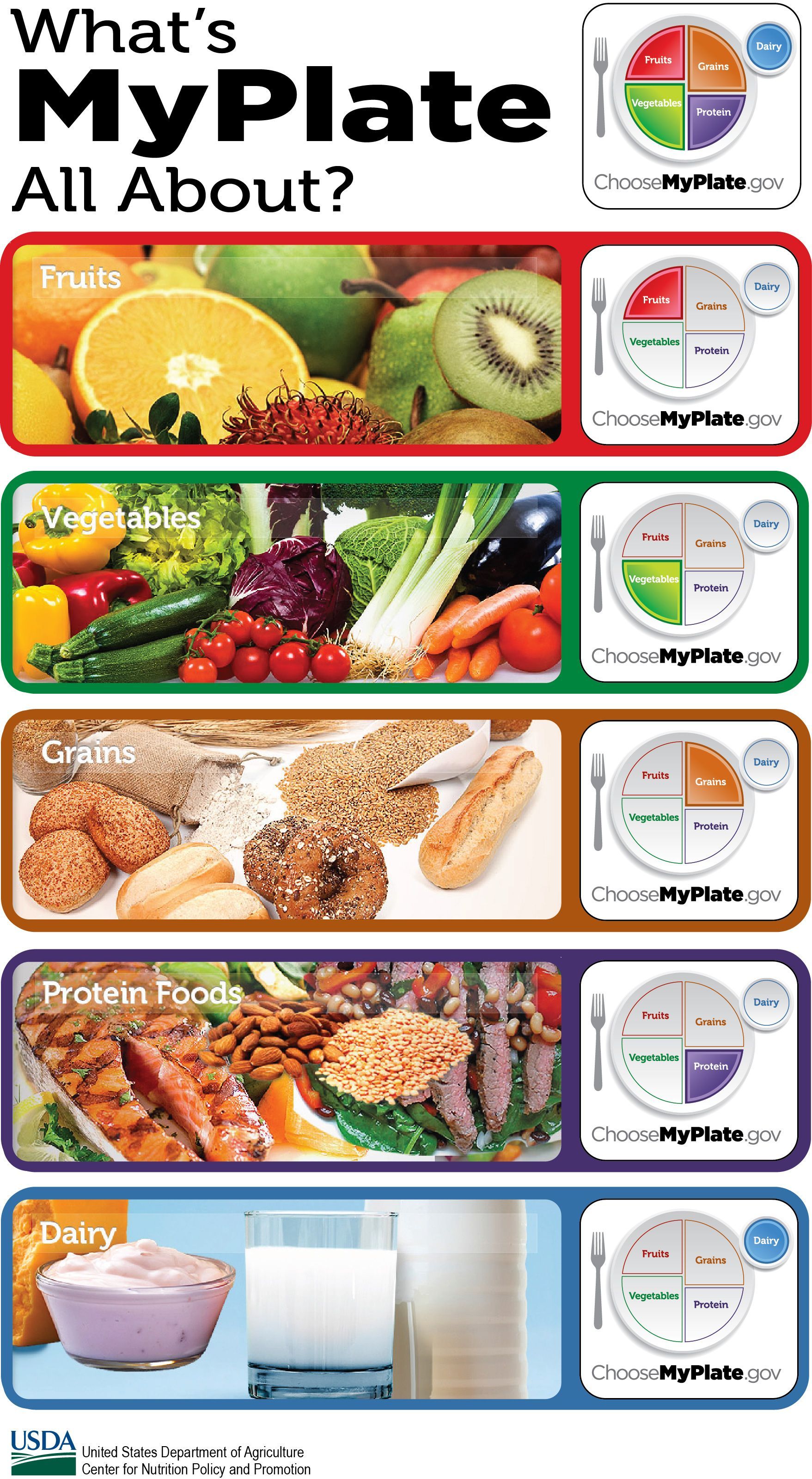 MyPlate teaches the 5 food groups: fruits, vegetables, grains, protein, and dairy.