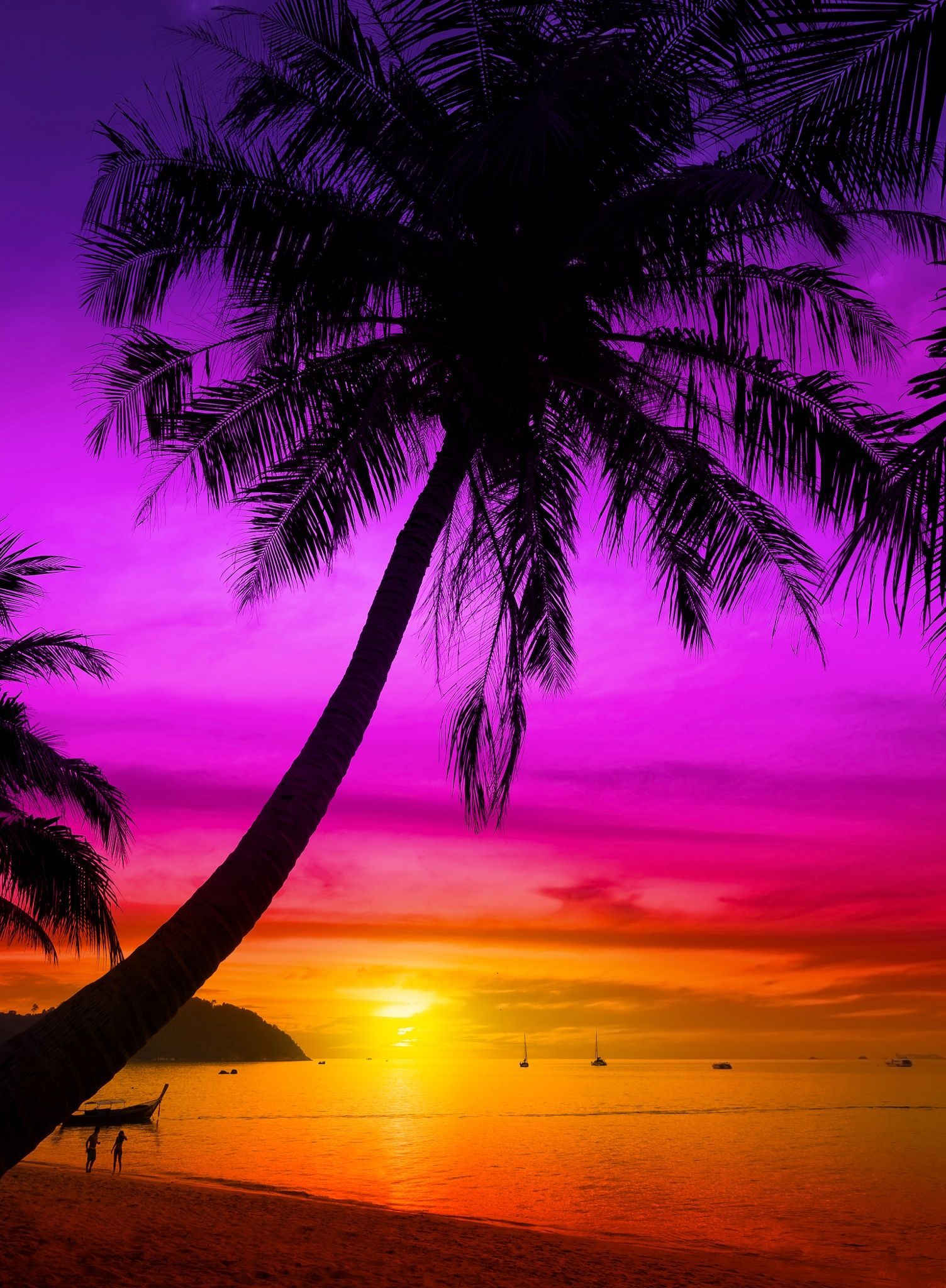 Palm tree silhouette on tropical beach at sunset.