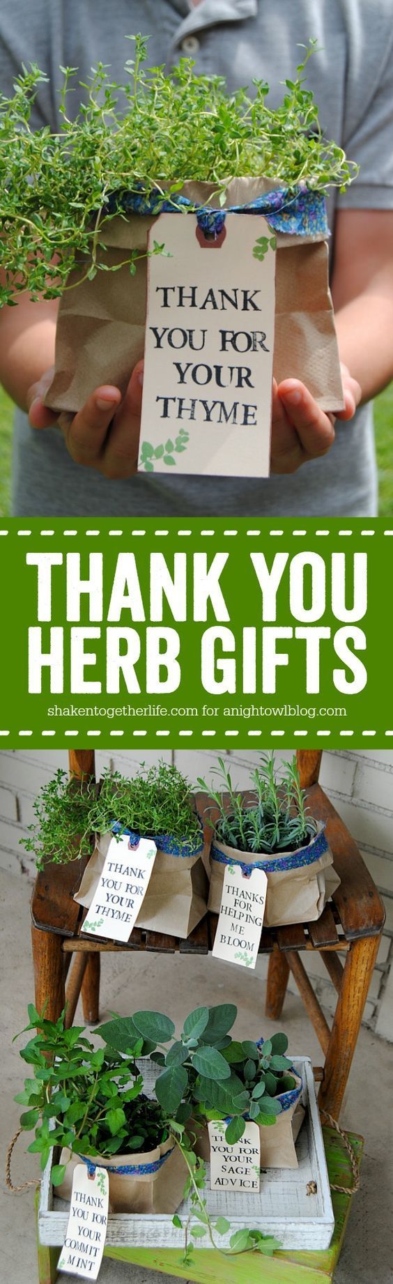 Thoughtful stamped tags & pretty fabric ties dress up plain potted herbs for Thank You Herb Gifts! They ar