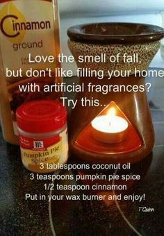 coconut oil in wax warmer to smell good – Google Search