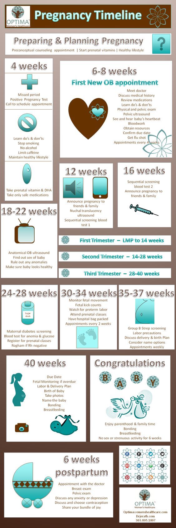 Pregnancy Timeline for preparing and planning pregnancy.