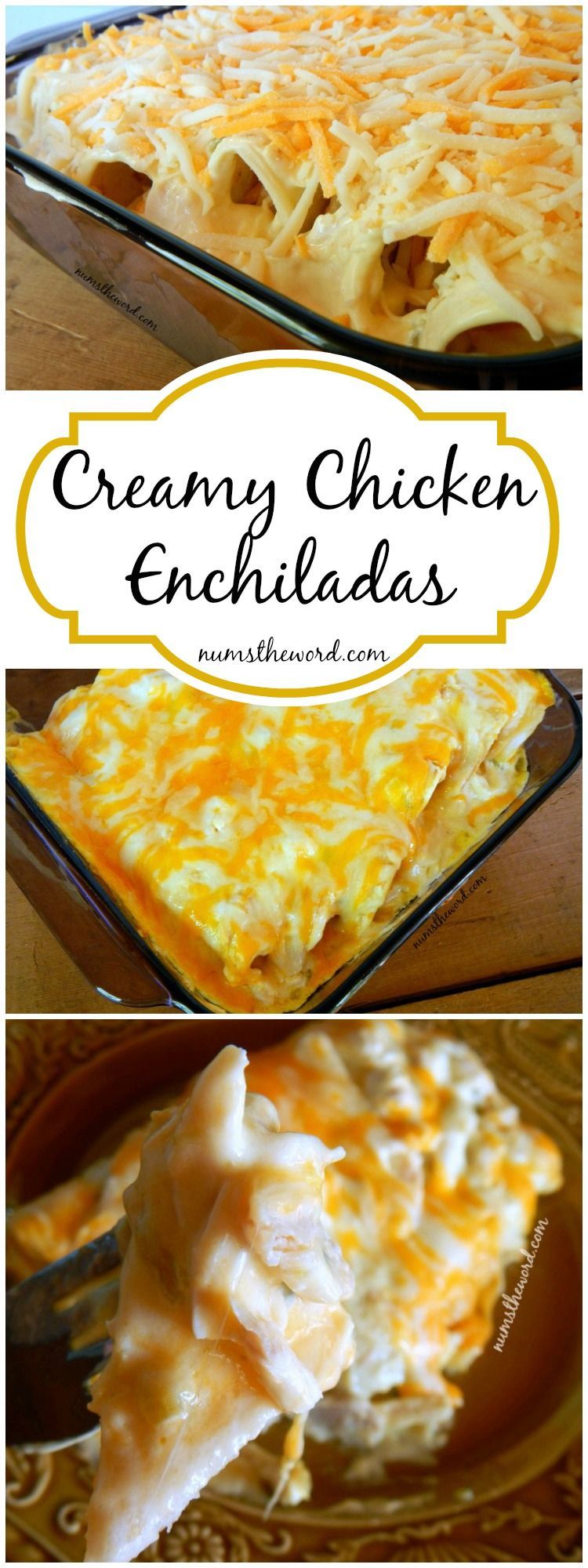 These simple non-traditional creamy chicken enchiladas are a huge hit with our family. 6 ingredients a