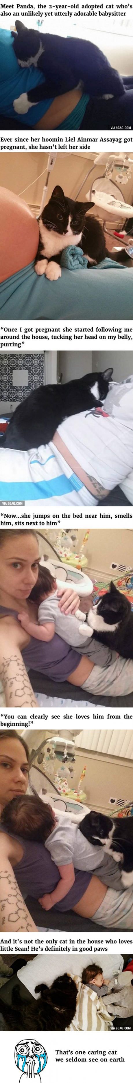 This Cat Has Been Guarding Her Little Hooman Before He Was Born