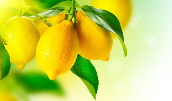 Benefits of drinking water with lemon