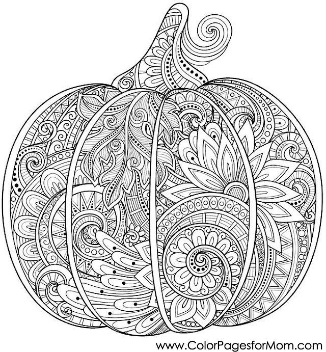 Coloring pages for adults – Halloween Pumpkin Coloring Page