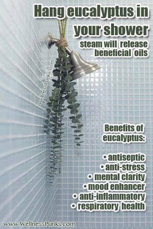 Great tip! Hang Eucalyptus in your shower. The steam releases many beneficial oils and it smells amazi