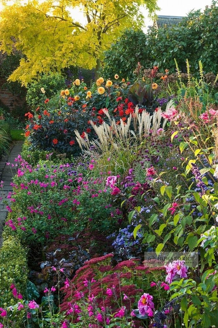 Judys Cottage Garden: The Best Perennial Plants for Cottage Gardens.
