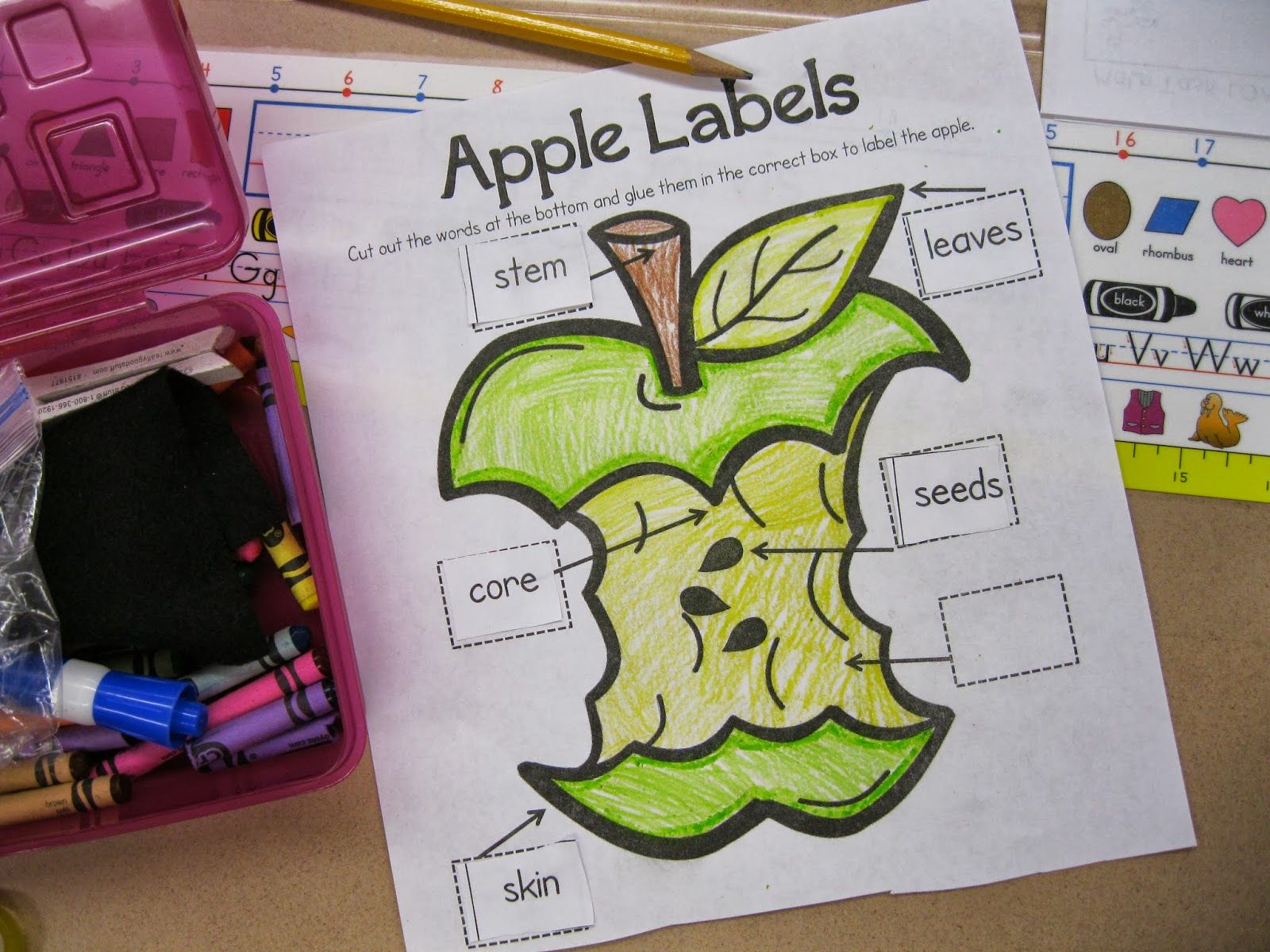 Parts of an Apple Apple Activities