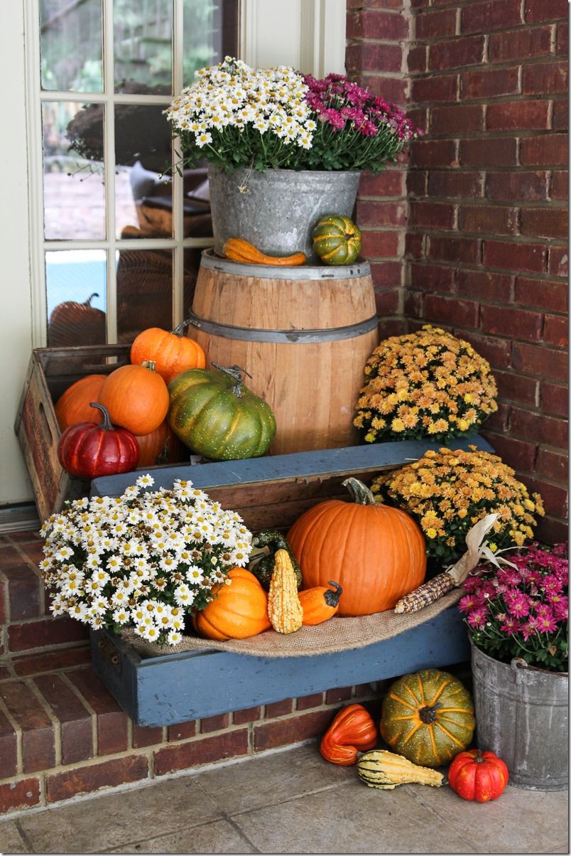 Fall Porch Decor with Plants and Pumpkins -   DIY Fall Front Porch Decorating Ideas