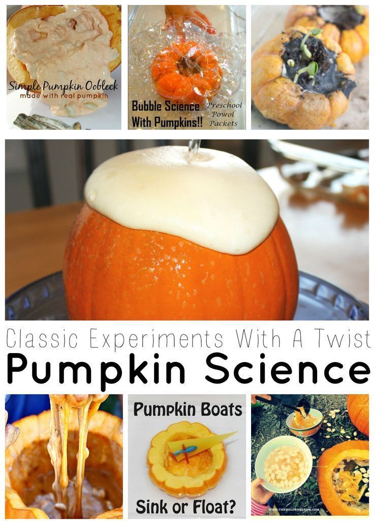 Pumpkin Science Fall Themed Science And Sensory Play Saturday Science Linky…
