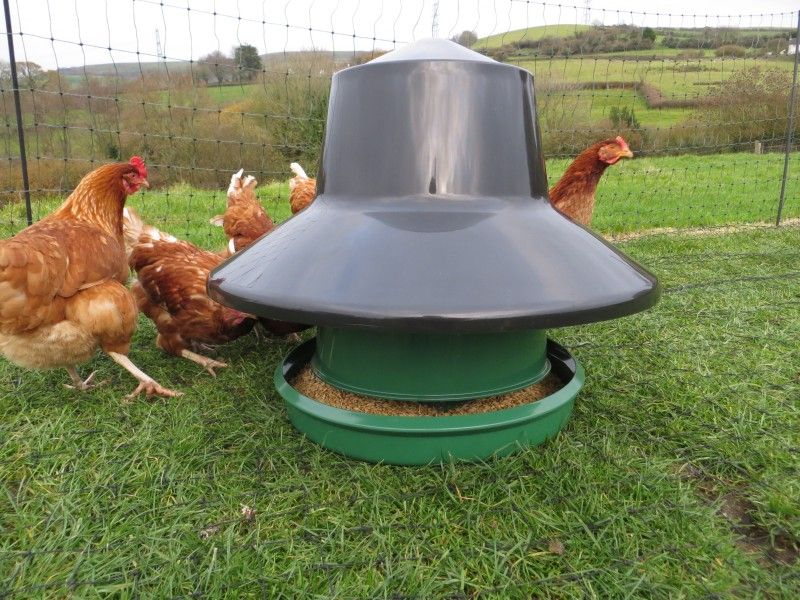 King Outdoor Feeder – 25kg | Collins Nets Ltd -   Chicken Feeders Ideas