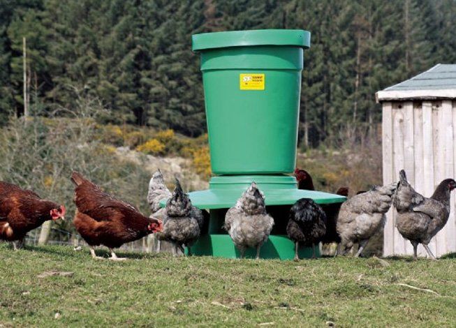 Poultry & Game Feeders -   Chicken Feeders Ideas