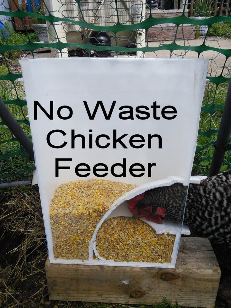 ideas about Chicken Feeders -   Chicken Feeders Ideas